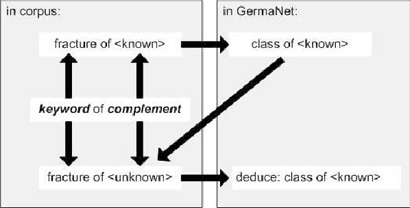 Figure 2 for Context Related Derivation of Word Senses