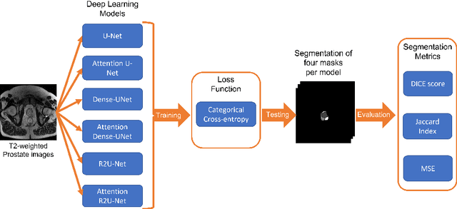 Figure 1 for Comparison of automatic prostate zones segmentation models in MRI images using U-net-like architectures