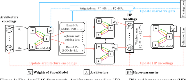Figure 1 for AutoHAS: Differentiable Hyper-parameter and Architecture Search