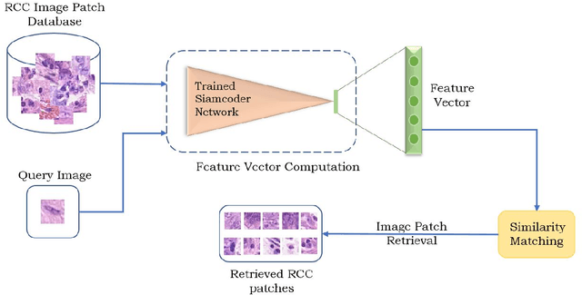 Figure 4 for Joint Triplet Autoencoder for Histopathological Colon Cancer Nuclei Retrieval