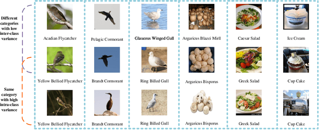 Figure 1 for A Feature Consistency Driven Attention Erasing Network for Fine-Grained Image Retrieval