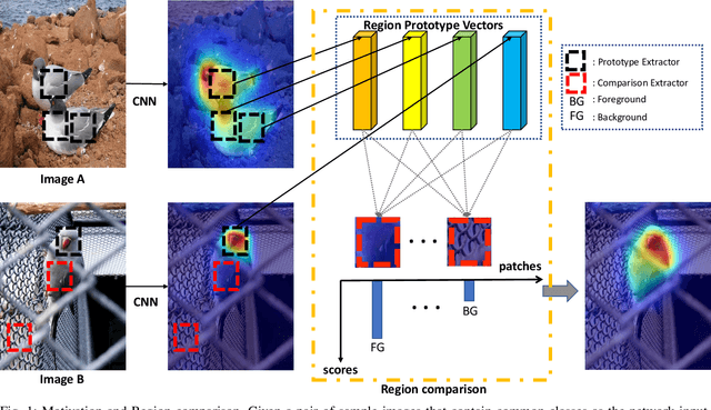 Figure 1 for Cross-Image Region Mining with Region Prototypical Network for Weakly Supervised Segmentation