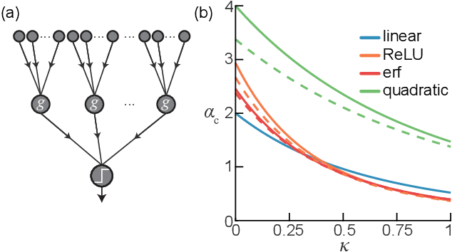 Figure 1 for Activation function dependence of the storage capacity of treelike neural networks