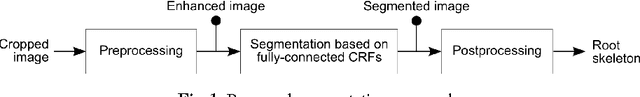 Figure 1 for Arabidopsis roots segmentation based on morphological operations and CRFs