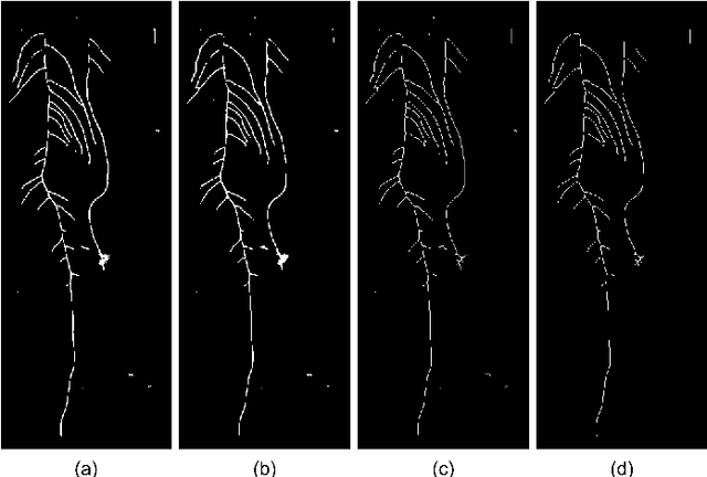 Figure 4 for Arabidopsis roots segmentation based on morphological operations and CRFs
