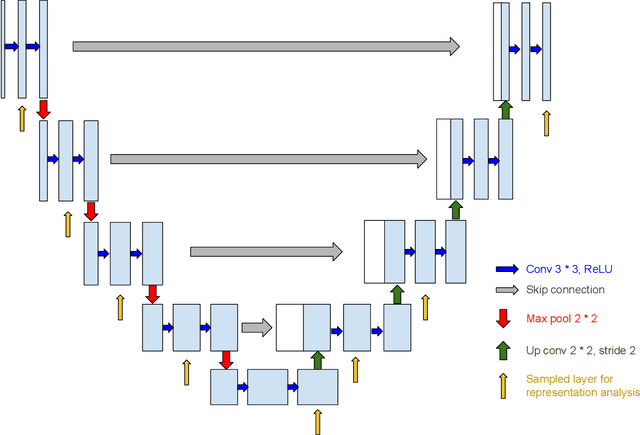 Figure 4 for Interactive Visualization and Representation Analysis Applied to Glacier Segmentation