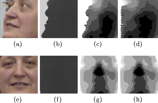 Figure 3 for Deep Head Pose Estimation from Depth Data for In-car Automotive Applications