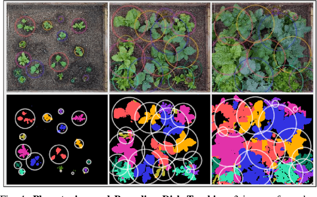 Figure 1 for Automated Pruning of Polyculture Plants