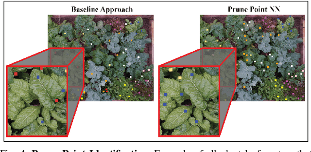 Figure 4 for Automated Pruning of Polyculture Plants