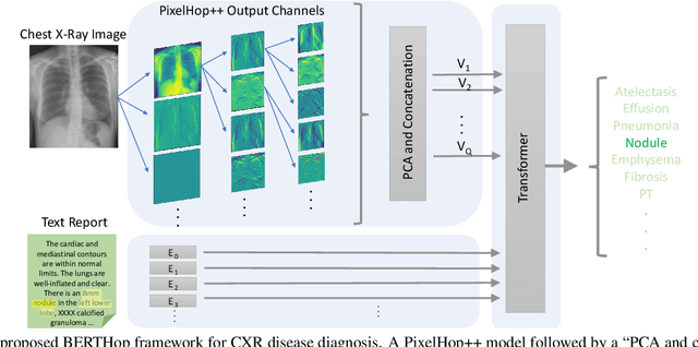 Figure 3 for BERTHop: An Effective Vision-and-Language Model for Chest X-ray Disease Diagnosis