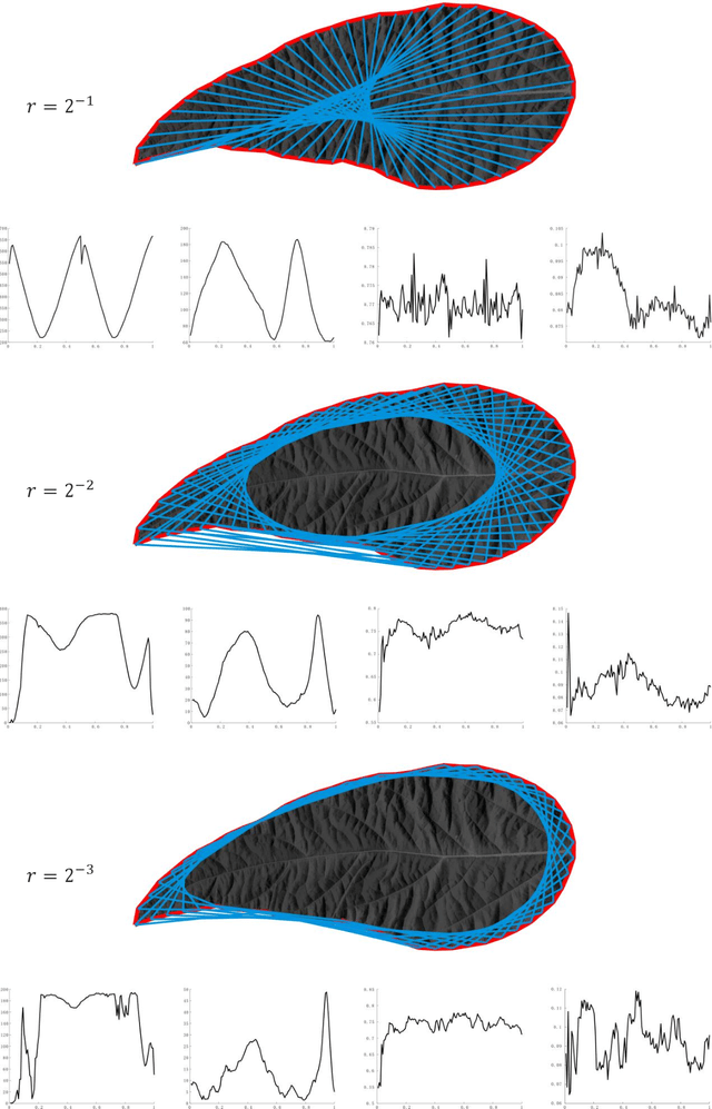 Figure 3 for From Species to Cultivar: Soybean Cultivar Recognition using Multiscale Sliding Chord Matching of Leaf Images