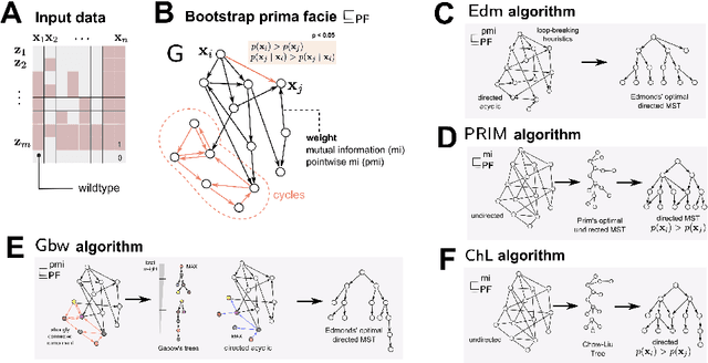 Figure 3 for Learning mutational graphs of individual tumor evolution from multi-sample sequencing data
