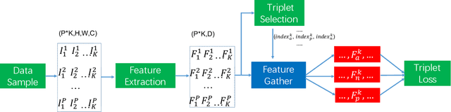 Figure 1 for MassFace: an efficient implementation using triplet loss for face recognition