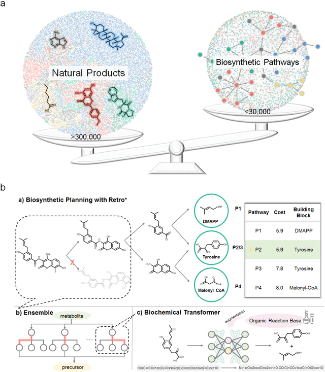 Figure 1 for BioNavi-NP: Biosynthesis Navigator for Natural Products