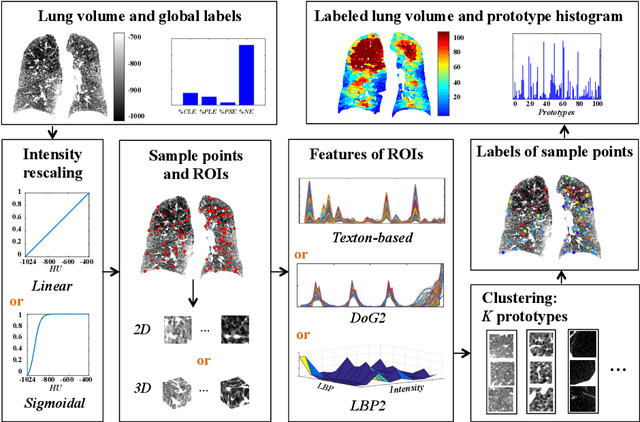 Figure 1 for Explaining Radiological Emphysema Subtypes with Unsupervised Texture Prototypes: MESA COPD Study