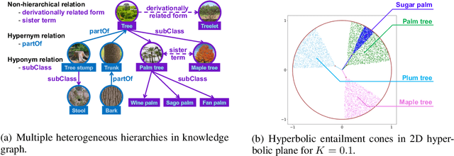 Figure 1 for Modeling Heterogeneous Hierarchies with Relation-specific Hyperbolic Cones