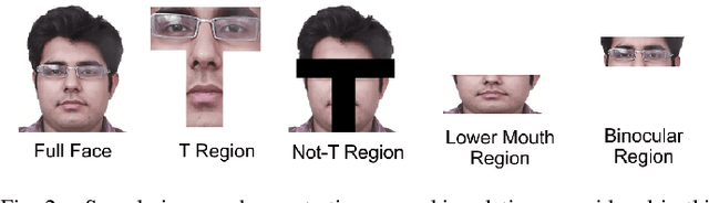 Figure 3 for Hierarchical Representation Learning for Kinship Verification