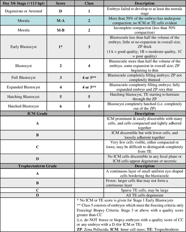 Figure 2 for Evaluation of deep convolutional neural networks in classifying human embryo images based on their morphological quality