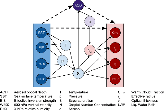 Figure 1 for Using Non-Linear Causal Models to Study Aerosol-Cloud Interactions in the Southeast Pacific
