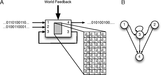 Figure 4 for Integrated information increases with fitness in the evolution of animats