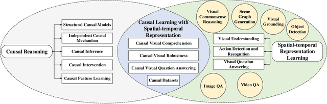 Figure 1 for Causal Reasoning with Spatial-temporal Representation Learning: A Prospective Study