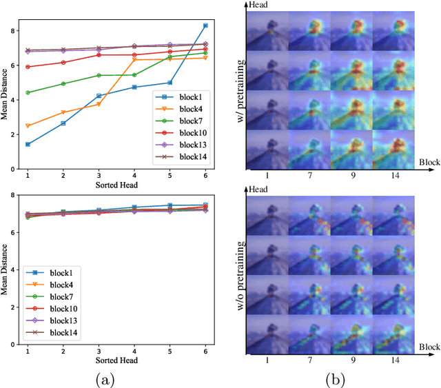 Figure 3 for Locality Guidance for Improving Vision Transformers on Tiny Datasets
