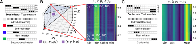 Figure 2 for Social learning spontaneously emerges by searching optimal heuristics with deep reinforcement learning