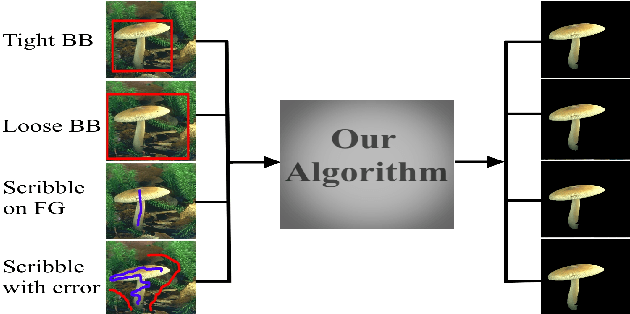 Figure 1 for Interactive Image Segmentation Using Constrained Dominant Sets