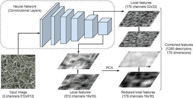 Figure 1 for Multilayer deep feature extraction for visual texture recognition