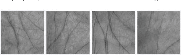 Figure 3 for On The Power of Joint Wavelet-DCT Features for Multispectral Palmprint Recognition