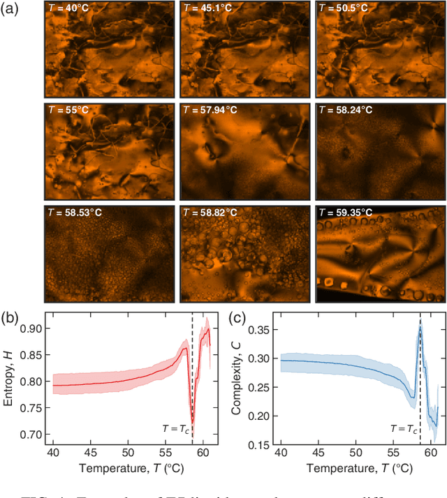 Figure 4 for Estimating physical properties from liquid crystal textures via machine learning and complexity-entropy methods