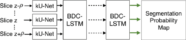 Figure 1 for Combining Fully Convolutional and Recurrent Neural Networks for 3D Biomedical Image Segmentation