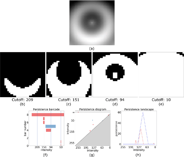 Figure 4 for A Primer on Topological Data Analysis to Support Image Analysis Tasks in Environmental Science