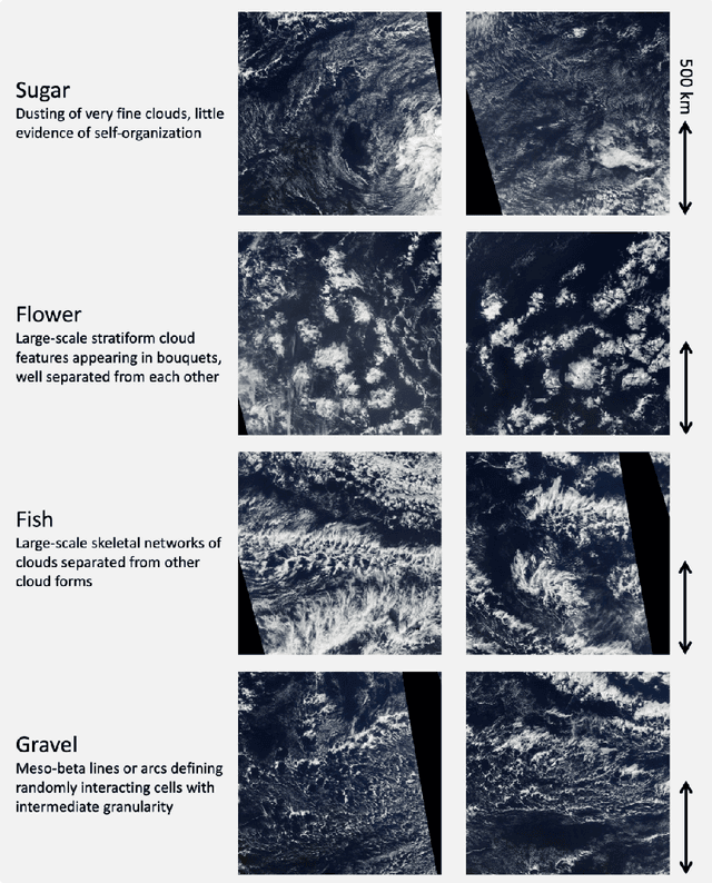 Figure 2 for A Primer on Topological Data Analysis to Support Image Analysis Tasks in Environmental Science