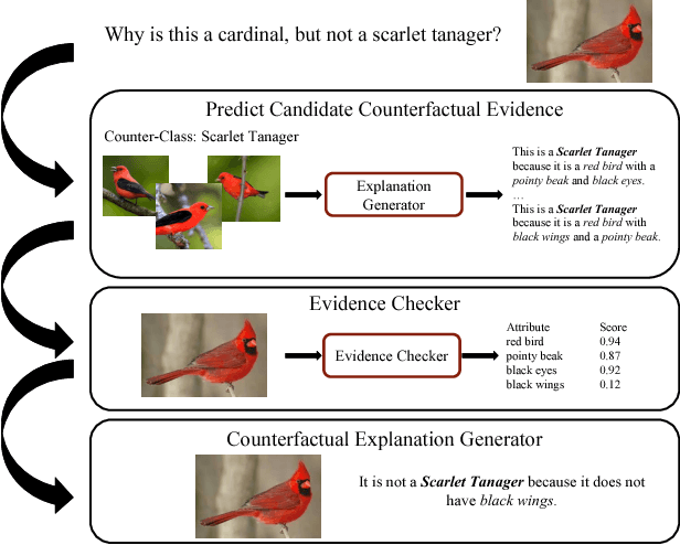 Figure 1 for Generating Counterfactual Explanations with Natural Language