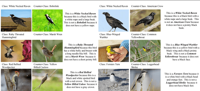 Figure 3 for Generating Counterfactual Explanations with Natural Language