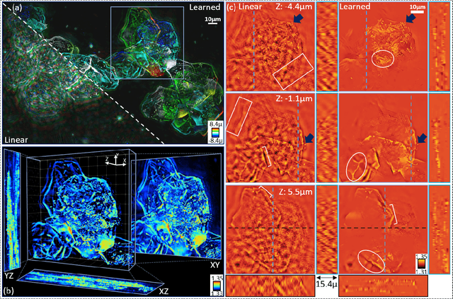 Figure 3 for Physical model simulator-trained neural network for computational 3D phase imaging of multiple-scattering samples