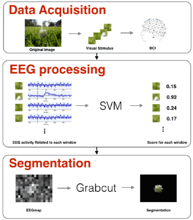 Figure 1 for Object Segmentation in Images using EEG Signals