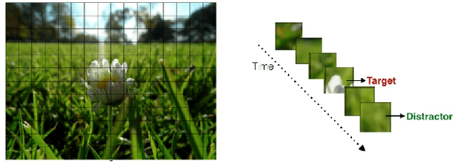 Figure 3 for Object Segmentation in Images using EEG Signals