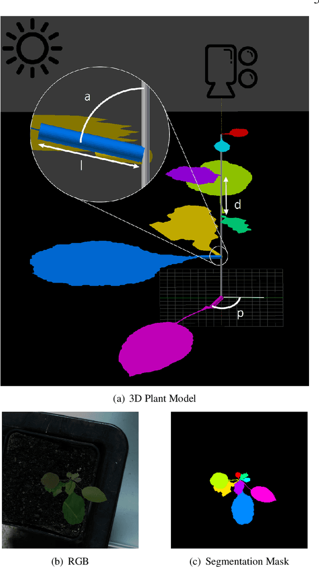 Figure 3 for Scalable learning for bridging the species gap in image-based plant phenotyping
