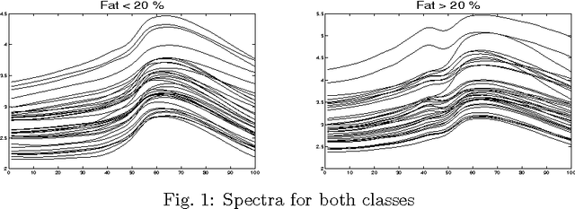 Figure 1 for Support vector machine for functional data classification