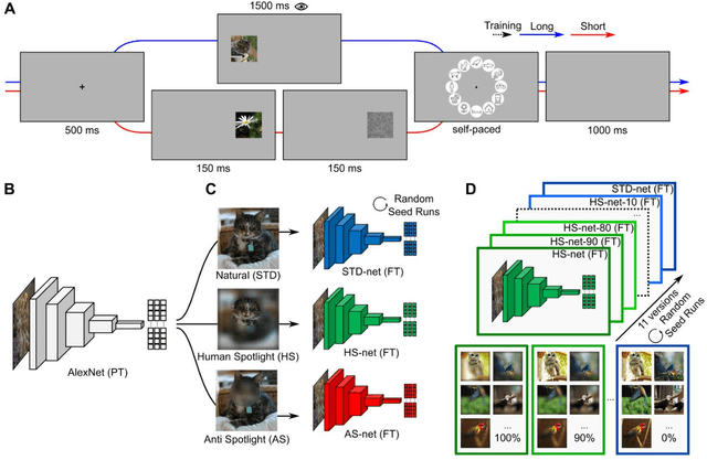 Figure 1 for Guiding Visual Attention in Deep Convolutional Neural Networks Based on Human Eye Movements