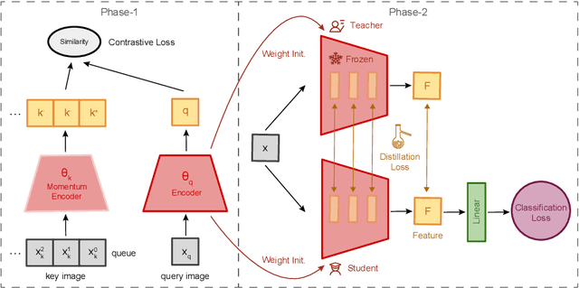 Figure 1 for Distilling Visual Priors from Self-Supervised Learning