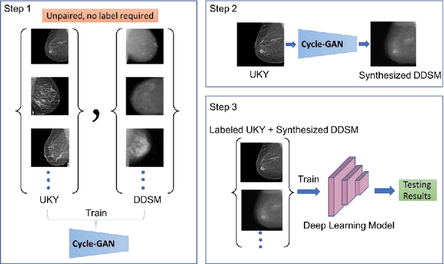 Figure 1 for Unsupervised Domain Adaptation for Mammogram Image Classification: A Promising Tool for Model Generalization