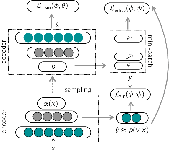 Figure 1 for Self-Supervised Bernoulli Autoencoders for Semi-Supervised Hashing