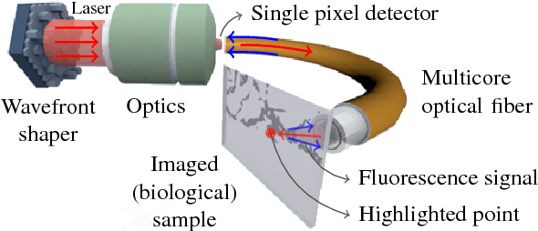 Figure 1 for Compressive Sampling Approach for Image Acquisition with Lensless Endoscope