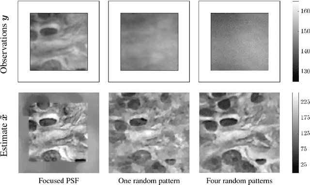 Figure 4 for Compressive Sampling Approach for Image Acquisition with Lensless Endoscope