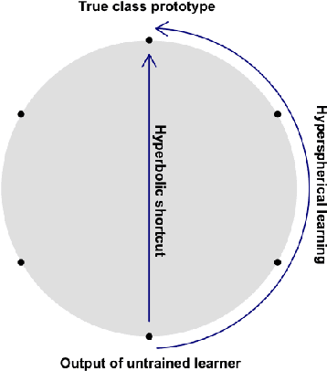 Figure 3 for A Theory of Hyperbolic Prototype Learning