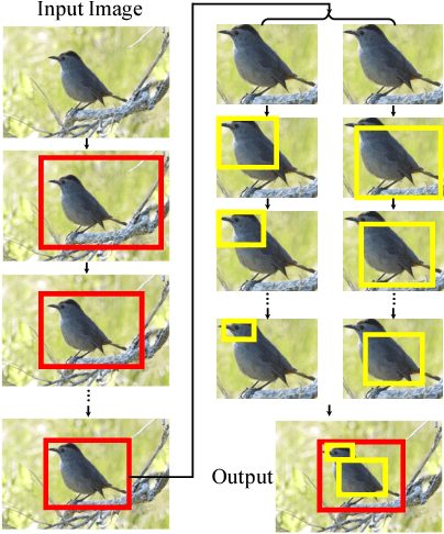 Figure 1 for Iterative Object and Part Transfer for Fine-Grained Recognition