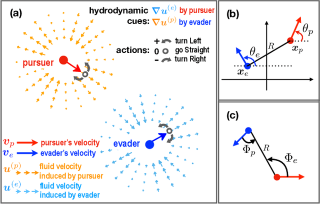 Figure 1 for Reinforcement learning for pursuit and evasion of microswimmers at low Reynolds number